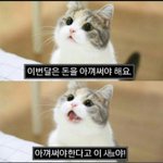 [드루와] 야 지금 <b>옆집</b>에서 싸우는것같다