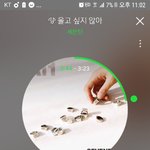 [세븐틴] <b>the</b>유닛에 우리 붐붐 노래 나왔어!
