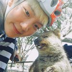 [드루와] 카드케이스 쓰는 사람 ??