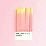 청와대국민청원 학생교복<b>외투</b>규정 한번씩만해주랑 !!