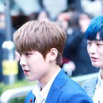 [박우진] 외출하는 <b>우디</b>니