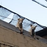 [인피니트] 현재 우리상황...<b>jpg</b>