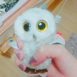 우리 아빠 <b>독일</b> 출장갔다와서 나한테 작은인형 줬는데ㅋㅋㅋ