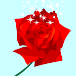 [암쏠단] <b>쏠쏠</b>쏠⚘