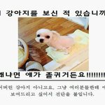 <b>토론</b>하는데ㅜㅜ아이디어 좀 주라ㅠㅠ