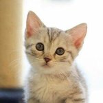 맞다 나 <b>이</b><b>과생</b>인데 내 동아리 문과탑 동아리임
