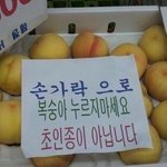 누가봐도 실력 좋다는 아이돌 누구누구 있어?