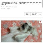 너네 주변에 ㄹㅇ <b>재능</b>이 아까운 애 있냐?