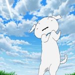 <b>응가</b>하는법좀
