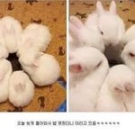 [댓글부탁해] 나 노래 개잘부른다 ㅎㅎ