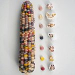 갓세븐 지니 차트