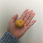 [드루와] 사진추가) 나 우리학교에서 손 제일큼 ;;