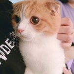 내 친구 썸남 좀 이상함...