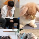 [방탄소년단] 토끼 전정국 모음집(겁나많음<b>주의</b>)