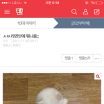 [ㅋㅋㅋㅋㅋ] 알바뭐하냐 내<b>글</b>왜<b>내림</b>?ㅋㅋ