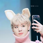 [박지훈] 어떻게 다 어울리냐
