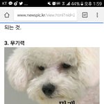 [EXO] 비비 ㅈㄴ<b>유명</b>하네