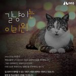 [고양이] 길냥이 서포터즈 모집한데요. <b>캣</b><b>맘</b>들 지원해보세요