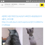 노래많이듣는애<b>드랑</b>