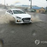가수 비가 많이 있으면?