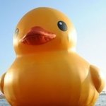 [EXO] 알아서 <b>저장</b>해 제발 조카 여러번 올리게하지말고