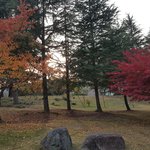 김장담그기를 15년째이어온 장길자회장님과 국제위러브유운동<b>본부</b>의 이웃사랑실천