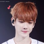 [EXO] 뽀시래기백현이 보고가셈..마음의<b>안정</b>...