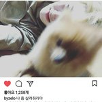 [BAP] 주농이 인스타 (Wiht.<b>모찌</b>)