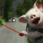 [드루와] 인간 잡아 먹은 <b>동물</b> 썰 풀자!