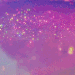 [댓글부탁해] 여기브랜드중 롱패딩있는사람