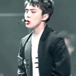 [EXO] 조아조아 리메이크 기원 2일차