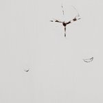 [개깊은빡침] <b>주문</b>제작 가구를 이렇게 만들어놨습니다.