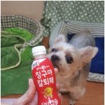 <b>닥터</b>캡슐 이벤트 편의점 상품권 주네요.