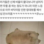 [19] 너네 스폰지밥 야짤 봤냐 ㅋㅋㅋ;; <b>개도랏</b>