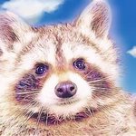 지금 <b>대립</b>구도 설명해줌