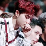 [EXO] 아 이사진 조카좋은데