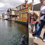 [캐나다서부] <b>밴쿠버</b>의 작은 유럽 <b>밴쿠버</b>아일랜드 빅토리아