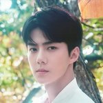 [세훈] <콘서트굿즈>브로마이드&amp;엽서 <b>스캔</b>본