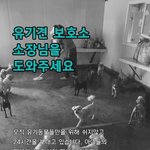 유기견보호소 <b>소장</b>님을 도와주세요.