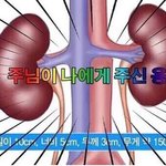 현 중3 문과 이과 어디를 갈까