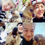 [드루와] 근데 술집에서 술 먹는거 말야