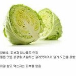 여드름 <b>직빵</b>으로 낫는방법 없냐