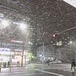 [드루와] ㅅㅂ<b>폭설</b>내려 얘들아ㅠ
