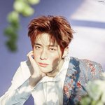 정신나간 슴스테