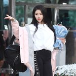 기사사진으로 보는 레깅스 피지컬