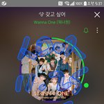 [강다니엘] 새벽반 녤부리의 때늦은 입덕계기