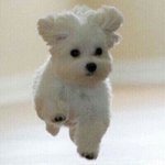 [드루와] 이렇게 생긴애 ㅇㄸ?
