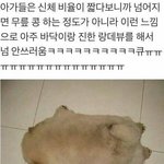 ㅆㅂ 게임 <b>홍보</b> 글인지 모르고