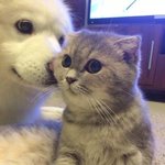 [드루와] 대박나 짝남이랑 페메하고잇슘 ㅠㅠ