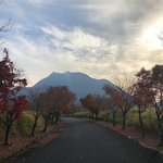 신나는노래 <b>추천점</b>ㅇㅇ